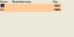 Nicht planbare Mitarbeiter